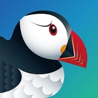 <strong>Puffin Browser Pro</strong>