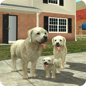 <strong>Dog Sim Online</strong>