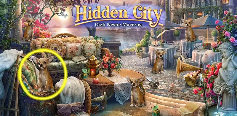 Hidden City